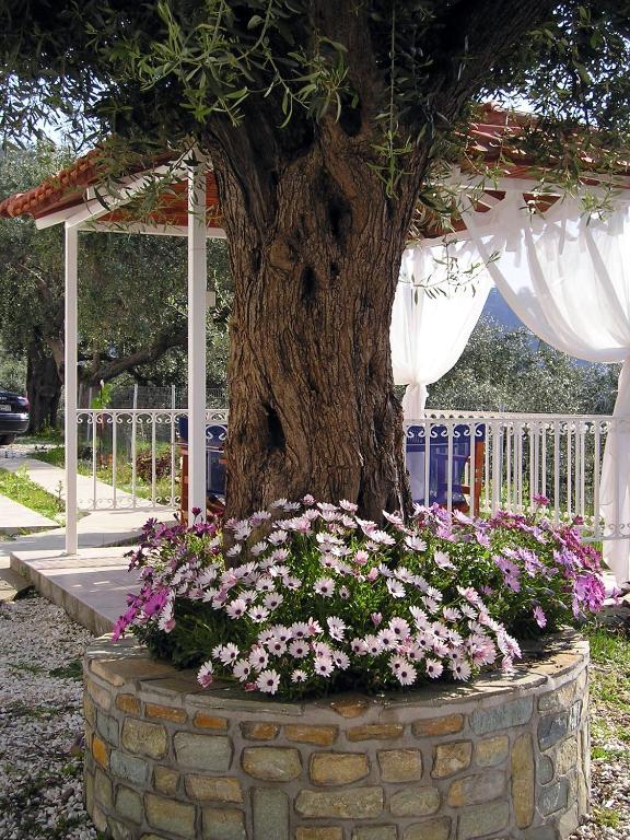 Golden Beach Inn Chrysi Ammoudia Room photo